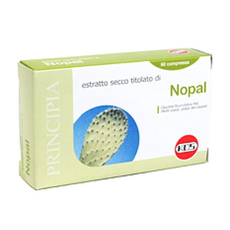 Kos Nopal Extracto Seco Complemento Alimenticio 60 Comprimidos 25,5g