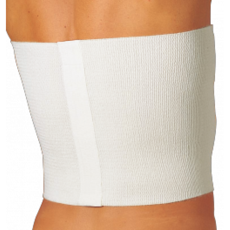 Gibaud Thermotherapy Line Light Belt 24cm Medida De