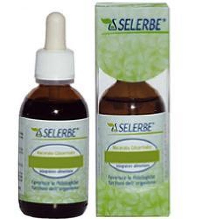 Selerbe Abedul Linfa Complemento Alimenticio 50ml Mg