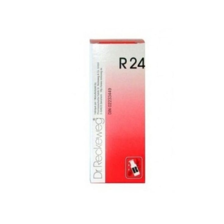 Dr. Reckeweg R24 Remedio Homeopático En Gotas 22ml
