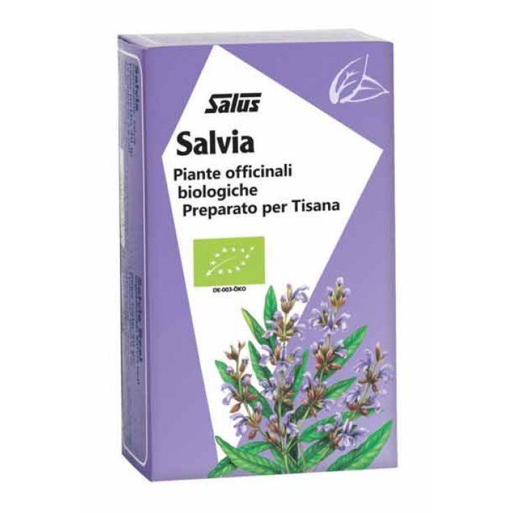 Té De Hierbas De Salvia Bio 15 Filtros