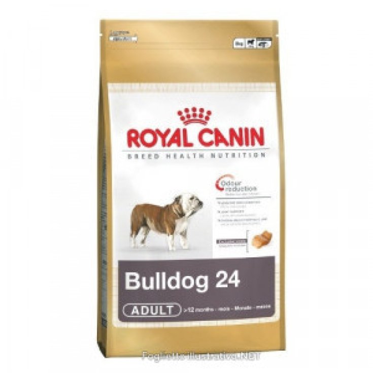 Royal Canin Raza Hn Bulldog 24 Adulto 12kg