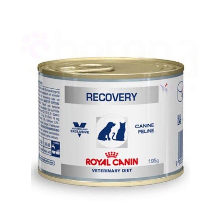 Royal Canin Veterinary Recovery Comida Húmeda 195g