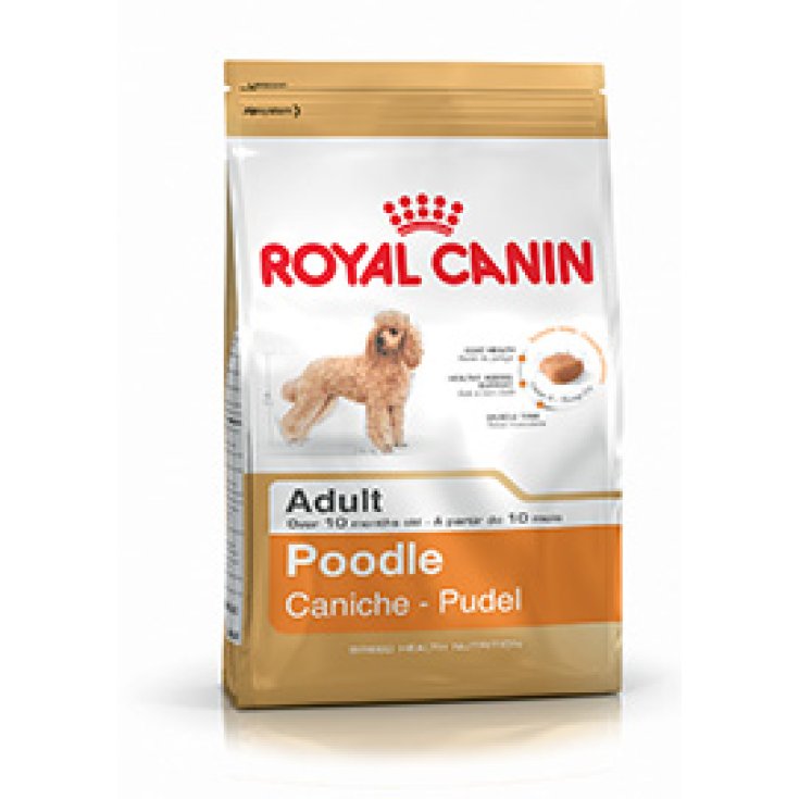 Royal Canin Breed Hn Caniche Alimento Para Caniches 1,5kg