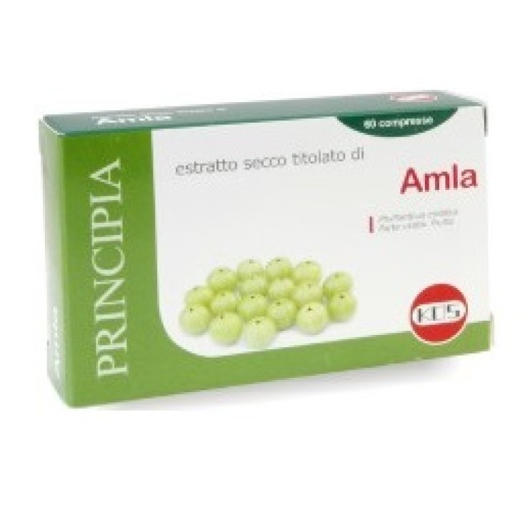 Kos Amla Extracto Seco Complemento Alimenticio 60 Comprimidos