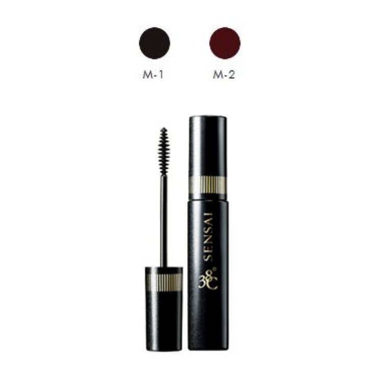 Kanebo Mascara 38C Negro