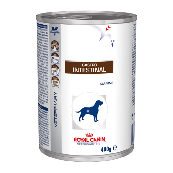 Veterinaria Dc Wet Gastro 400g