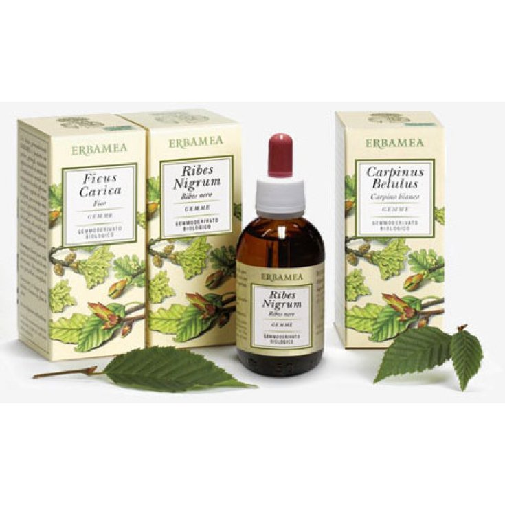 Tilia Tormentosa Cogollos Extractos de Cogollos Sin Gluten 50ml