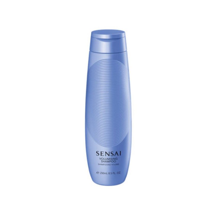 Kanebo Hair Care Champú Volumizador 250ml