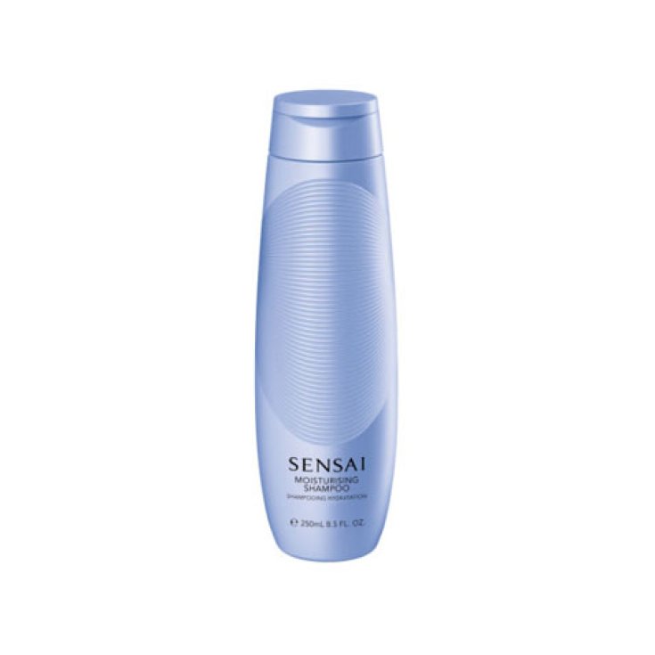 Kanebo Haircare Champú Hidratante 250ml