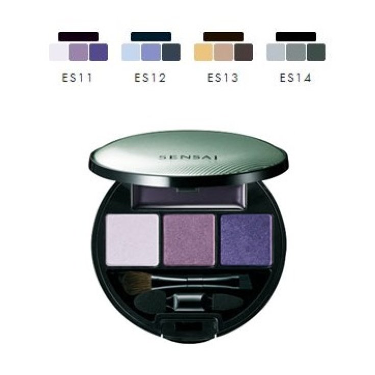 Paleta de Sombras de Ojos Kanebo Sombras Es11 4,5g