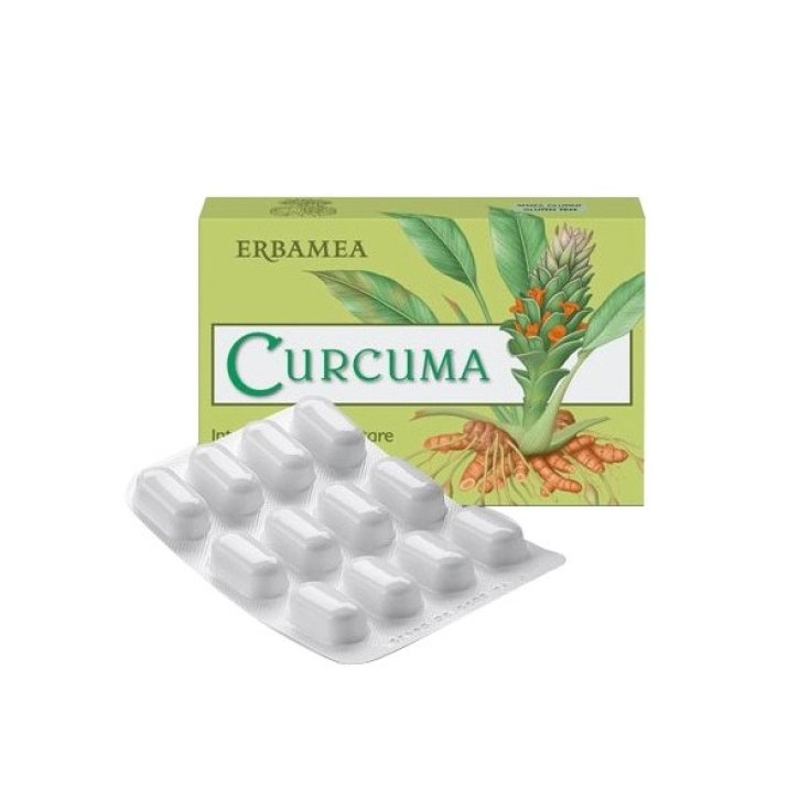 Erbamea Curcuma Complemento alimenticio 12g