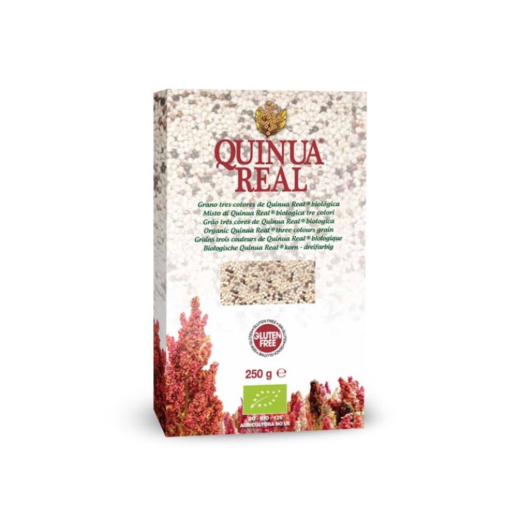 Quinua Real Mix Quinoa Tres Colores Bio 250g