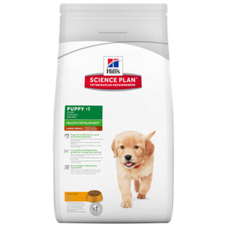 Hill's Science Plan Canine Puppy Healthy Development Raza Grande Con Pollo 11kg