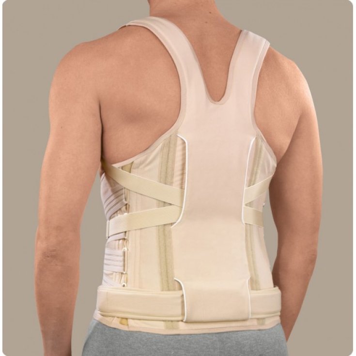 Ro + ten Taylor II Brace Dorso-Lumbar Con Busto Sat Talla L