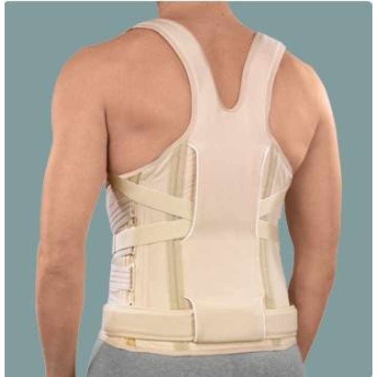 Ro + Ten Taylor IITutor Dorso-Lumbar Con Busto Sat Medida M 1 Pieza