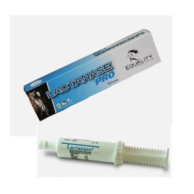 Lactanase Pasta Per Cavalli – 50 G, Integratore Prestazione Sportiva, Senza Doping