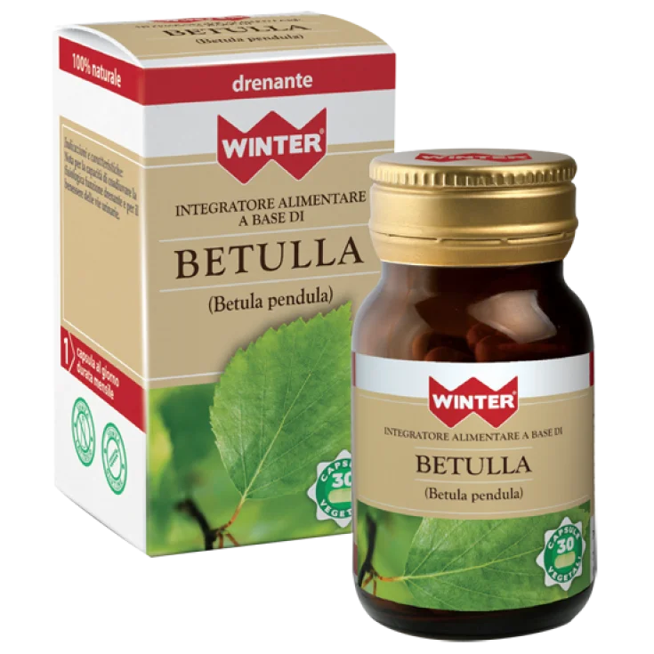 Abedul De Invierno 30 Cápsulas Vegetales