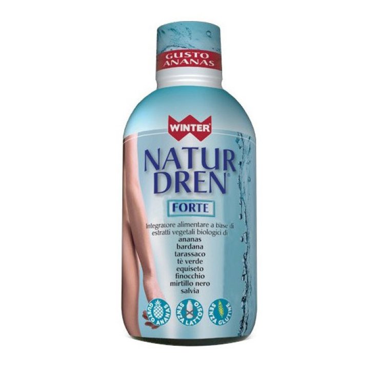 Winter Natur Dren Piña 500ml