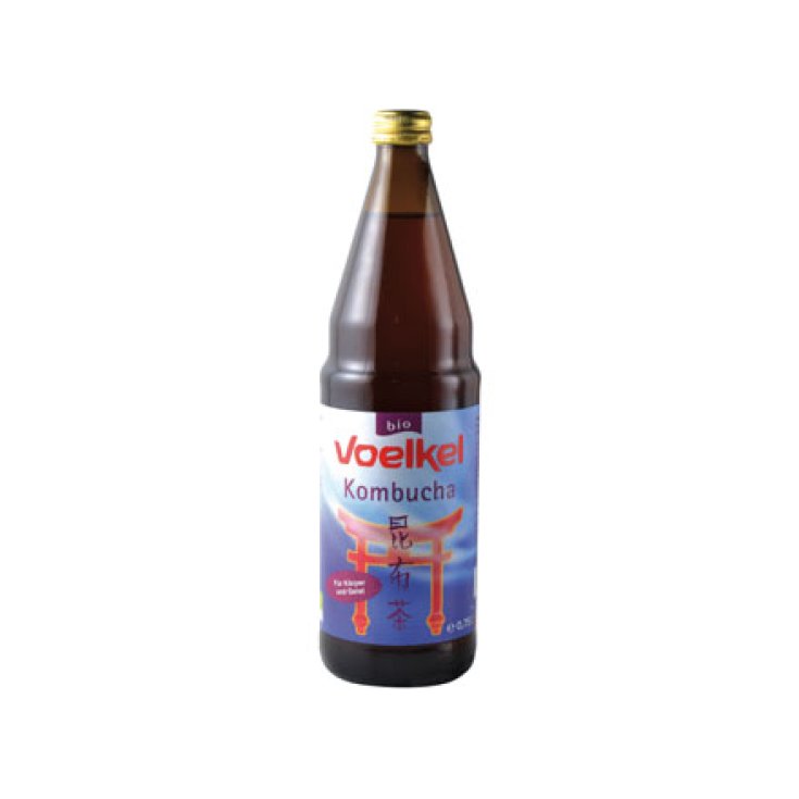 Tronco Volador Voelkel Kombucha 750ml