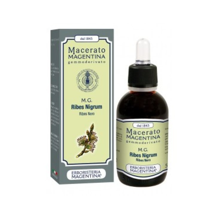Magentina macerada MG Ribes Nigrum Black Currant Macerated Bud extract 50ml