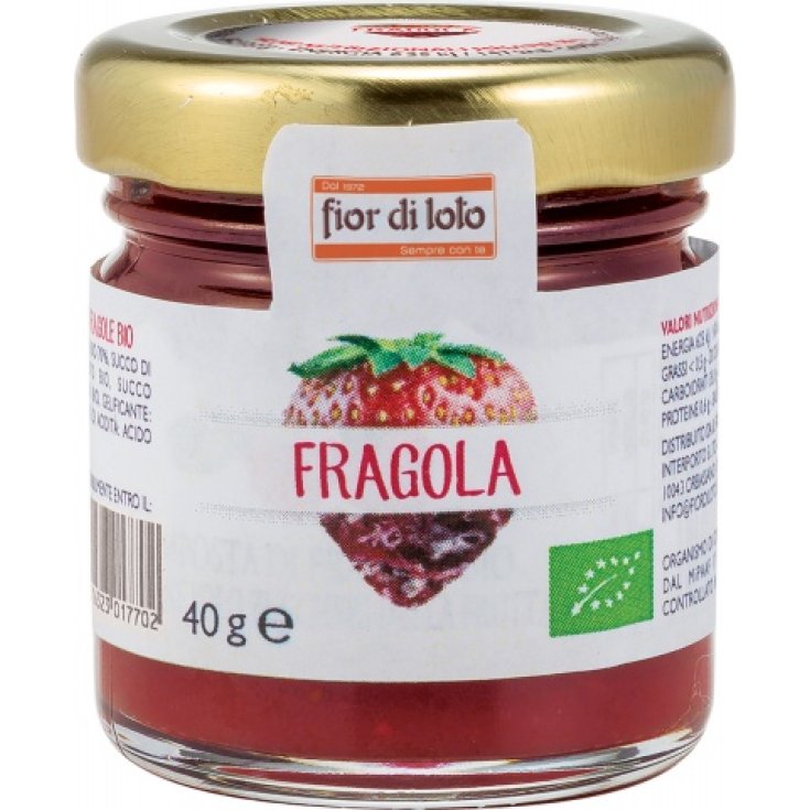 Mini compota de fresas 40g