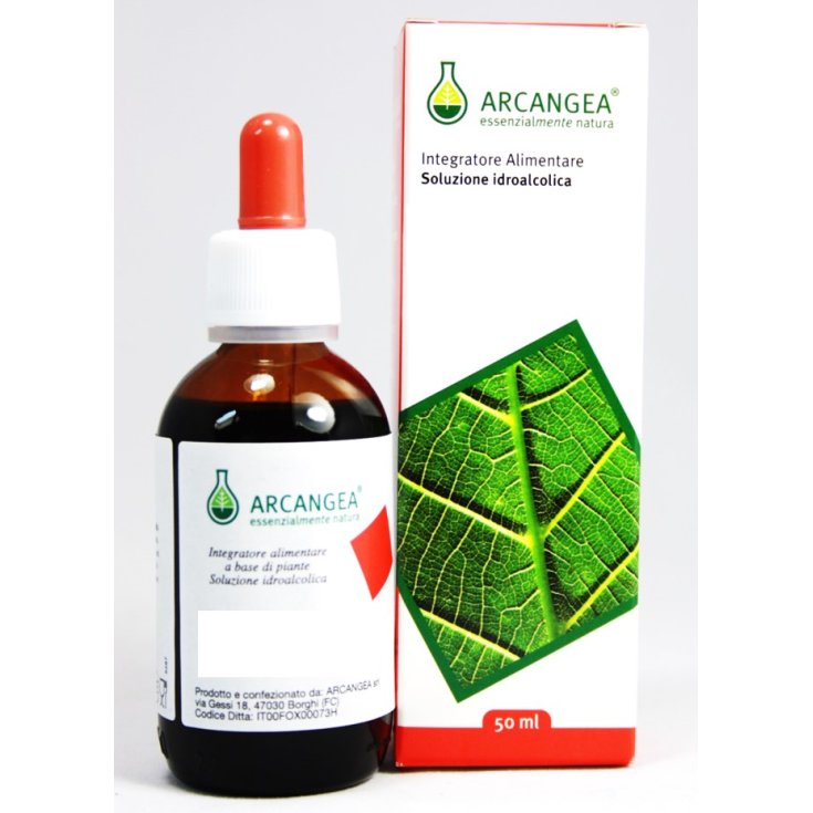 Arcangea Passiflora Bio Solución Hidroalcohólica 50ml