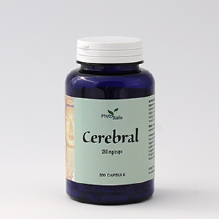 Phytoitalia Cerebral Ayurveda Suplemento Alimenticio 60 Cápsulas