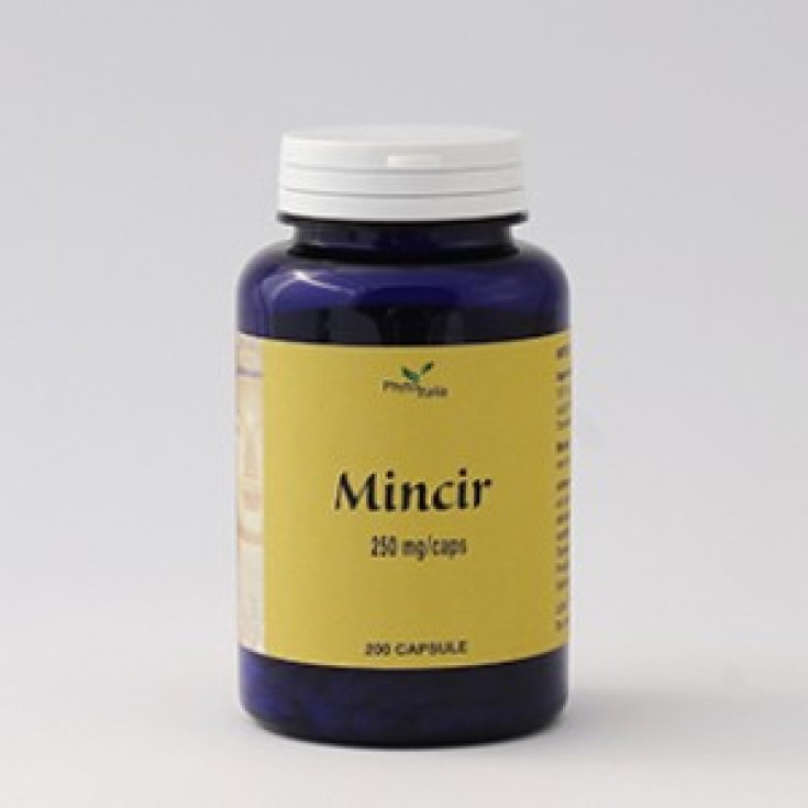 PhytoItalia Mincir Ayurvedica Complemento Alimenticio 60 Cápsulas