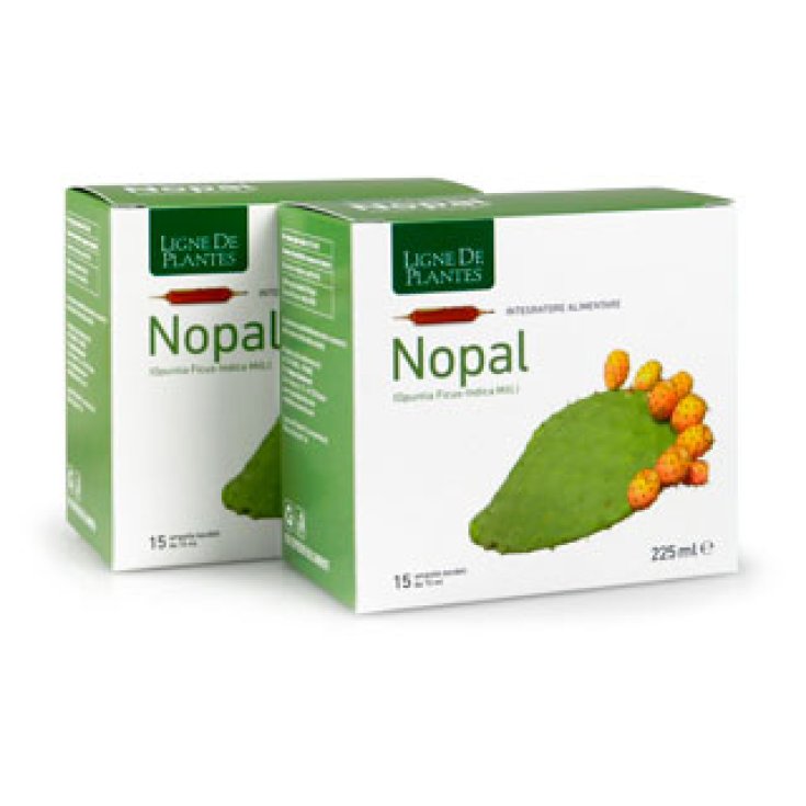 Ligne De Plantes Nopal Complemento Alimenticio 15 Ampollas De 15ml