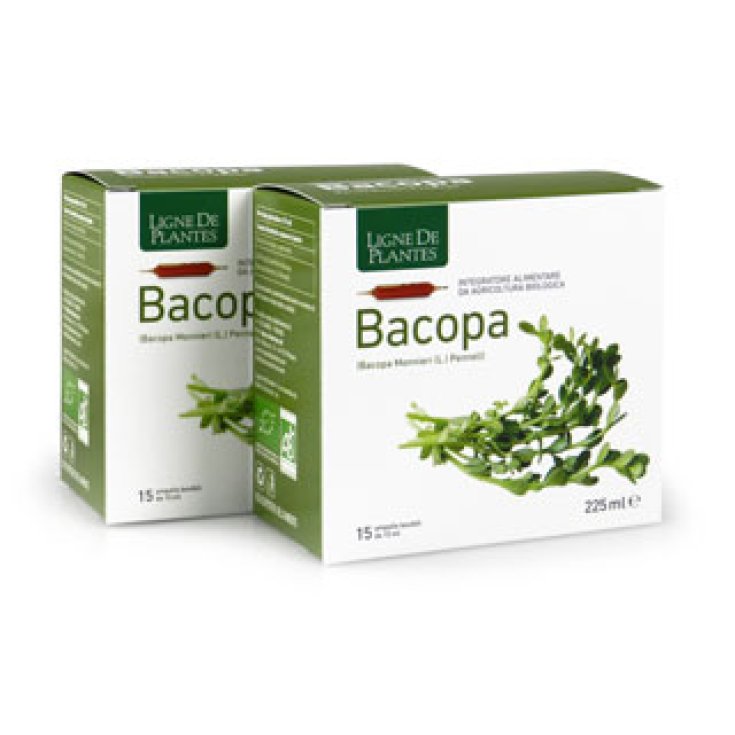 Ligne De Plantes Bacopa Complemento Alimenticio 15 Ampollas De 15ml