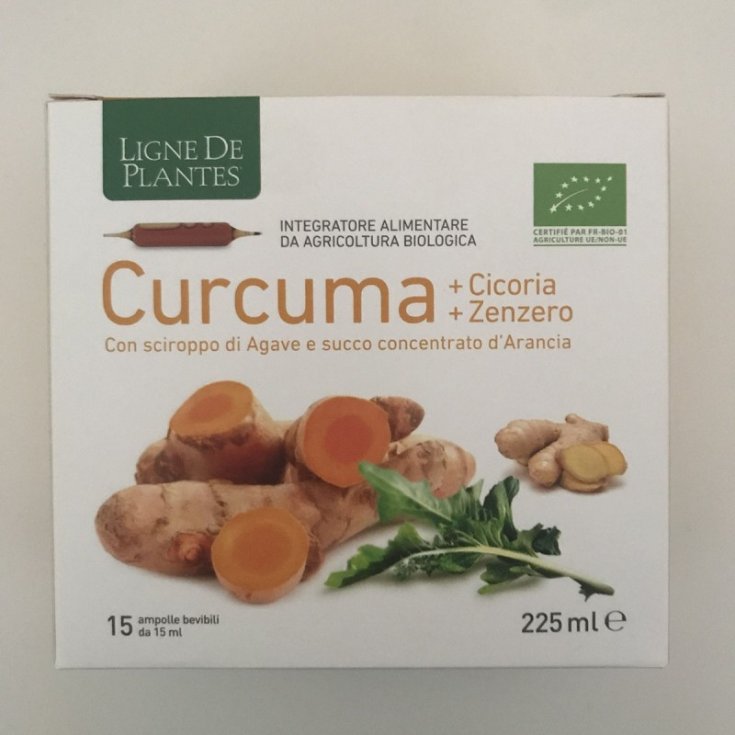 Ligne De Plantes Cúrcuma + Achicoria + Jengibre Complemento Alimenticio Bio 15 Ampollas Bebibles