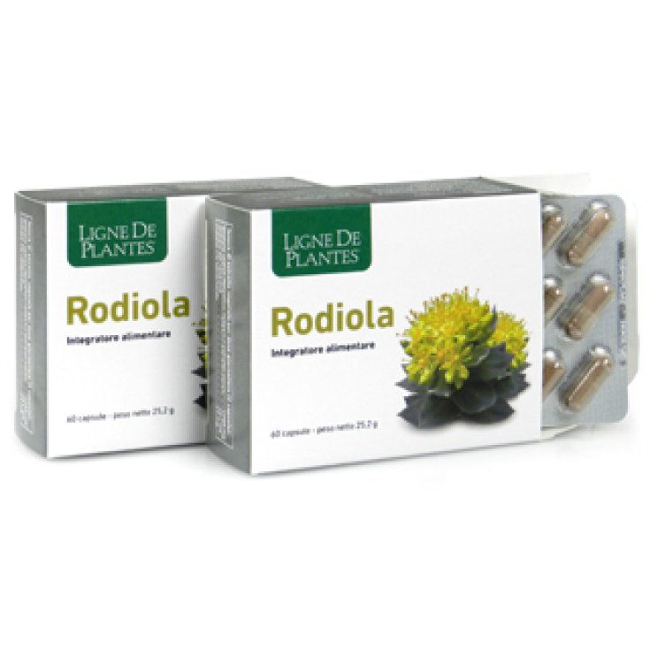 Ligne De Plantes Rodiola Complemento Alimenticio 45 Cápsulas