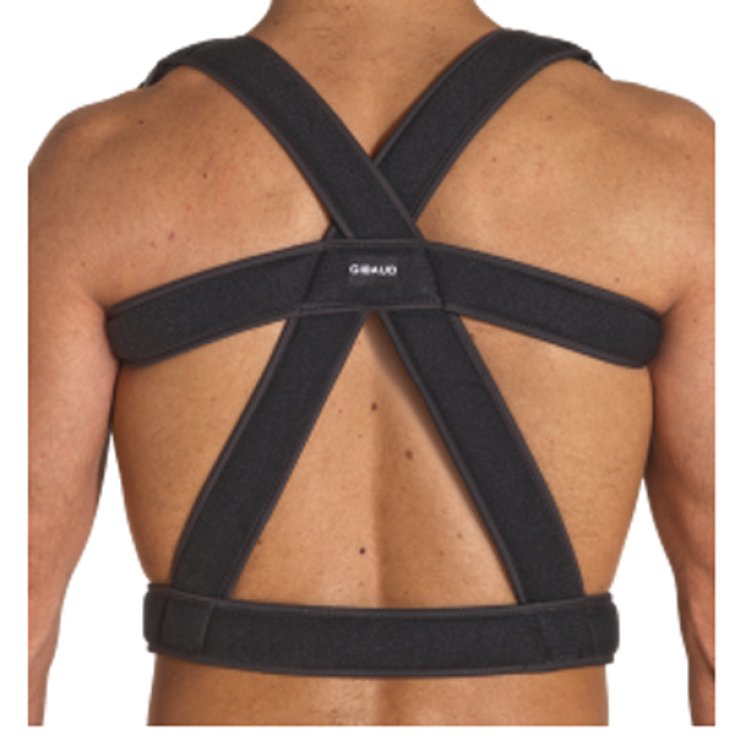 Gibaud Orthopaedic Line Back Support Talla 3