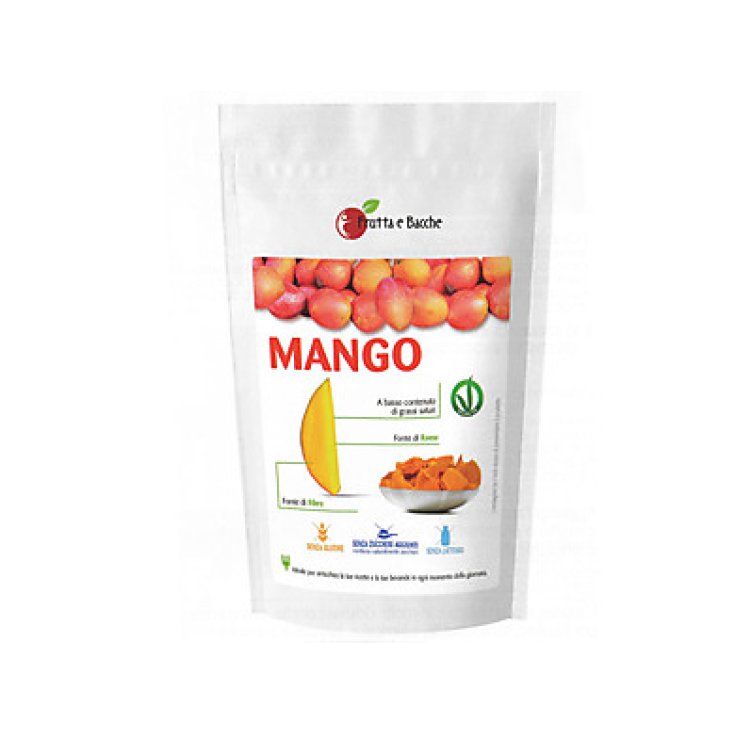 Fruit And Berries Mango Seco Fruta Deshidratada 100g