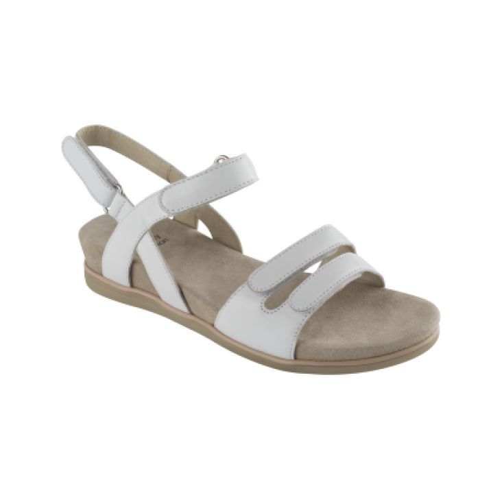 Scholl Canova Piel Color Blanco Talla 39
