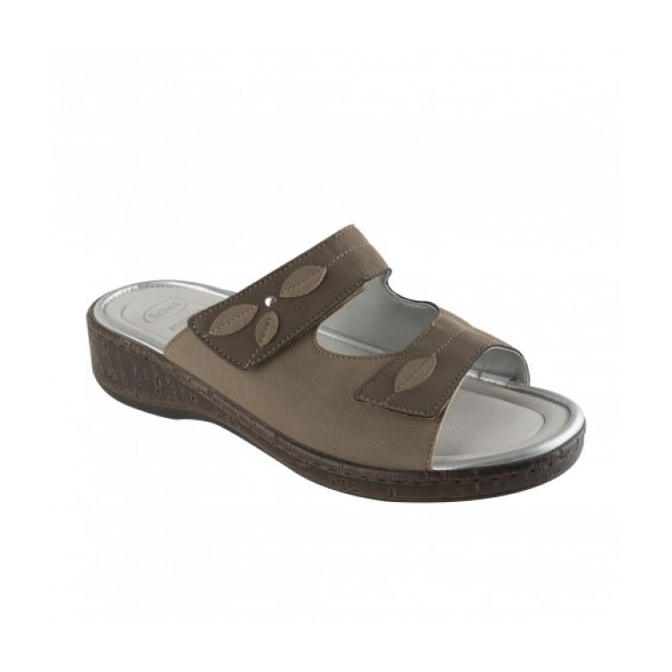 Zapatilla Mujer Scholl Rosca Color Marrón Talla 36
