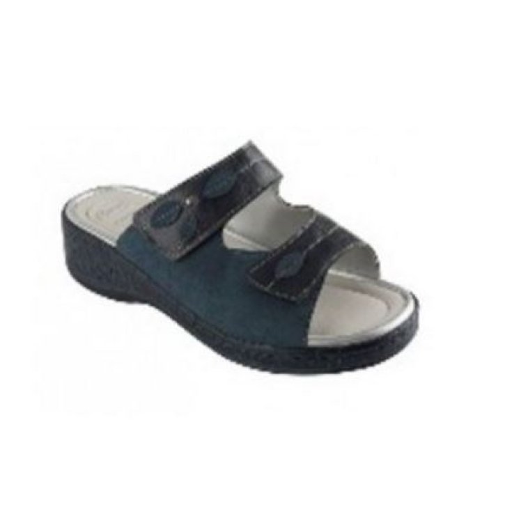 Zapatilla Mujer Scholl Rosca Color Azul Marino Talla 37