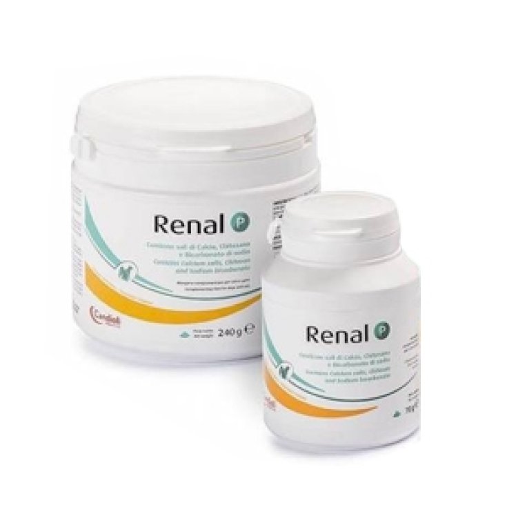 Renal P Pienso complementario para perros y gatos Complemento alimenticio para uso veterinario 240g