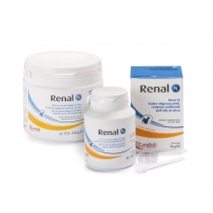 Renal N Pienso Complementario Para Perros Y Gatos Complemento Alimenticio Uso Veterinario 240g