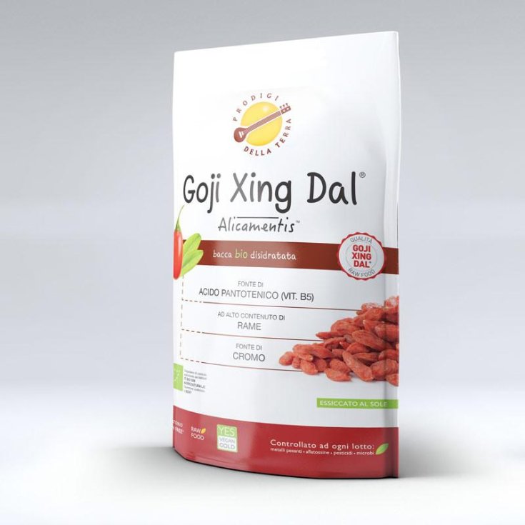 Sitar Italia Goji Xing Dal Alimentis Bio 25g