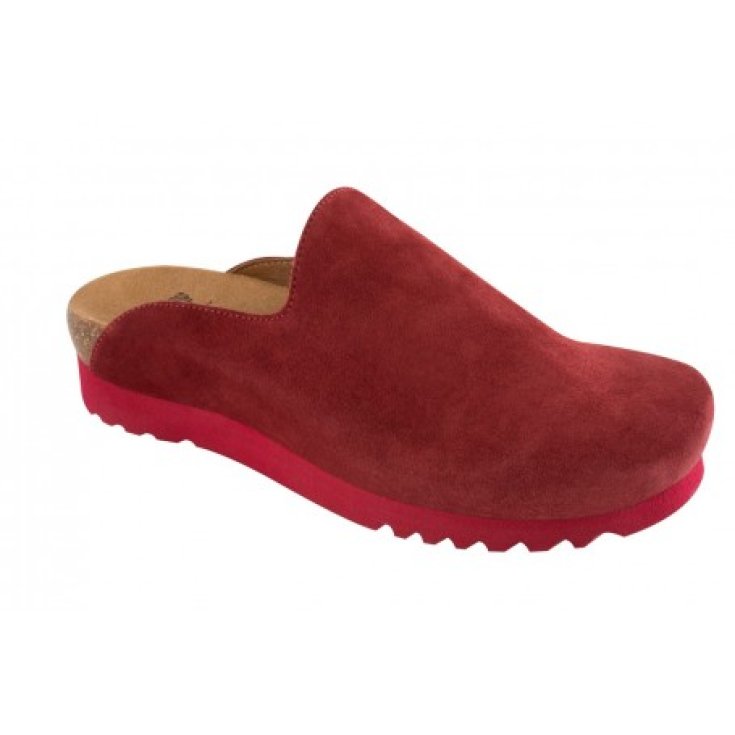 Scholl Sirdal Zapato Color Burdeos Numero 39