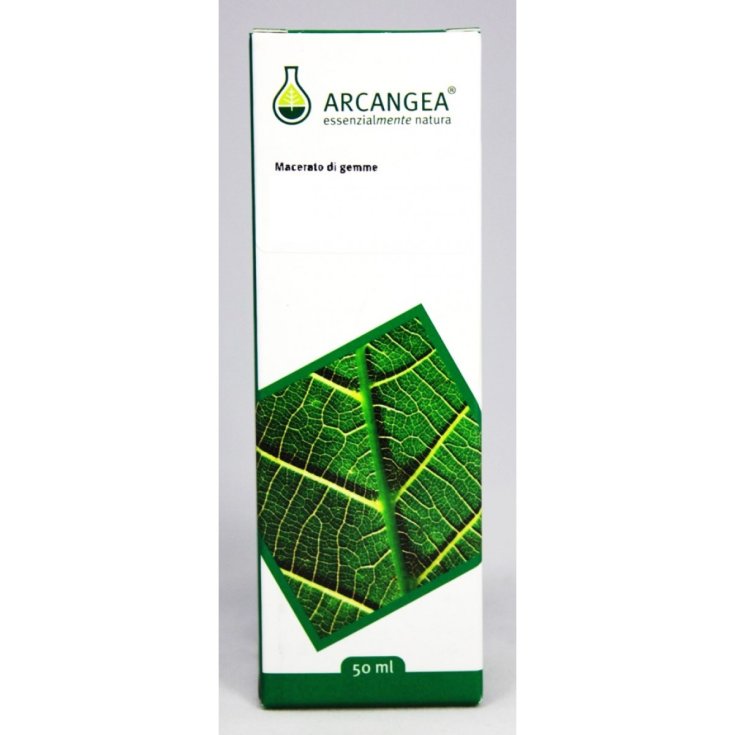 Arcangea Castanea Vesca Gemmoderivati Remedio Homeopático 100ml