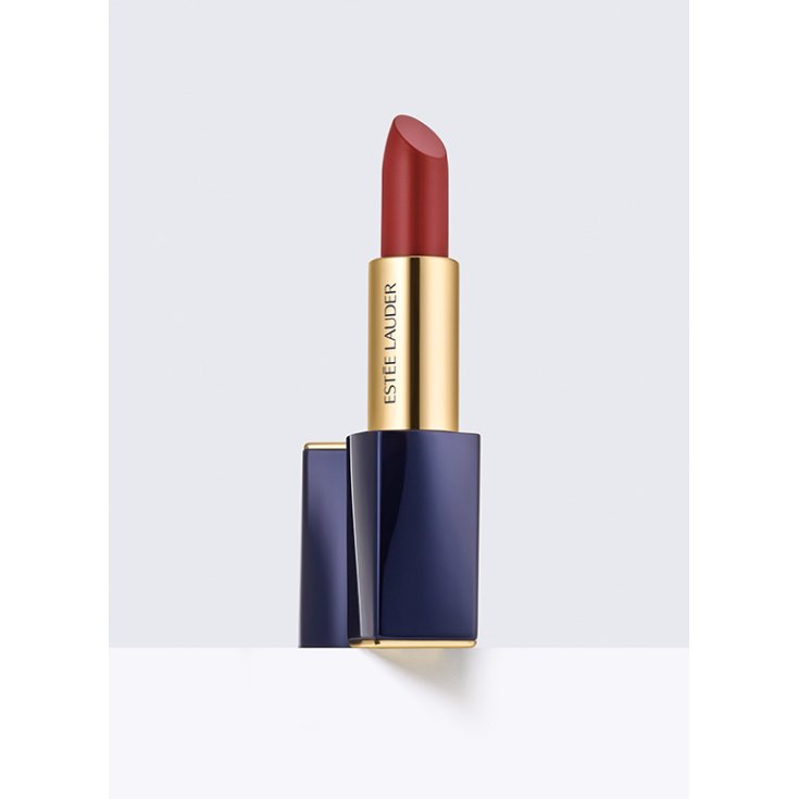 EL LÁPIZ LABIAL ENVY MATE SCULPT 113