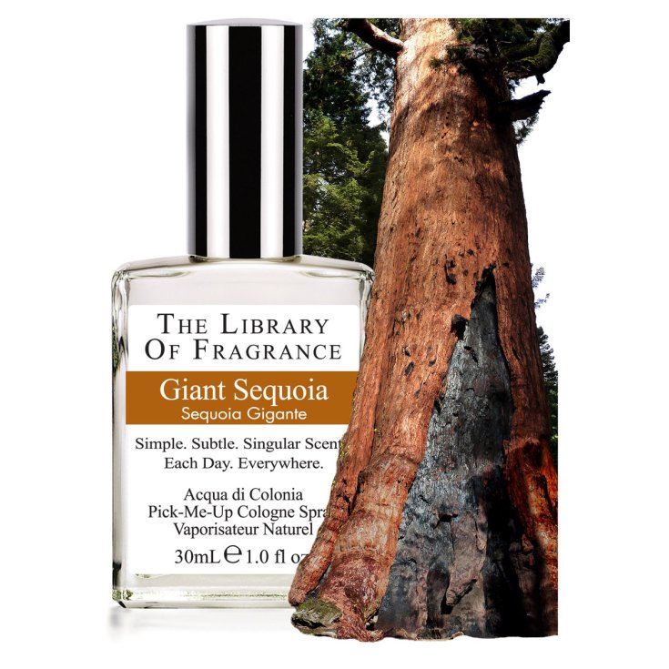 The Library Of Fragrance Fragancia de secuoya gigante 30ml