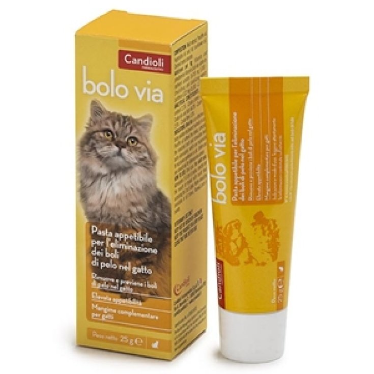 Candioli Bolo Via Pasta Para Gatos 25g