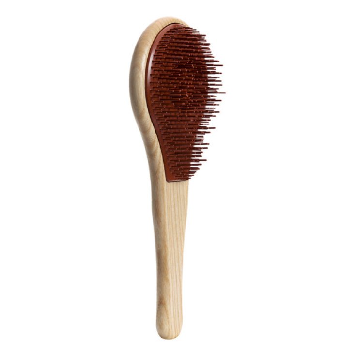 Michel Mercier Natural Wood Cepillo De Madera Para Cabello Rizado