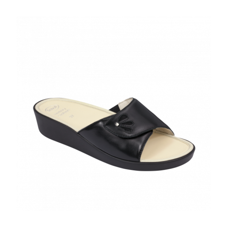 Cojín Scholl Marietta Cabatta Mujer Memory Negro Talla 36