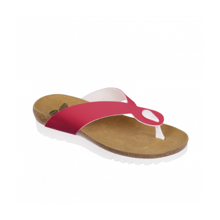 Zapatilla Scholl Kenna Color Fluo Rosa Numero 38