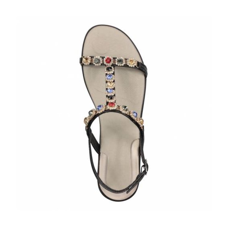 Zapato Scholl Floralie Jewel Color Negro Numero 36